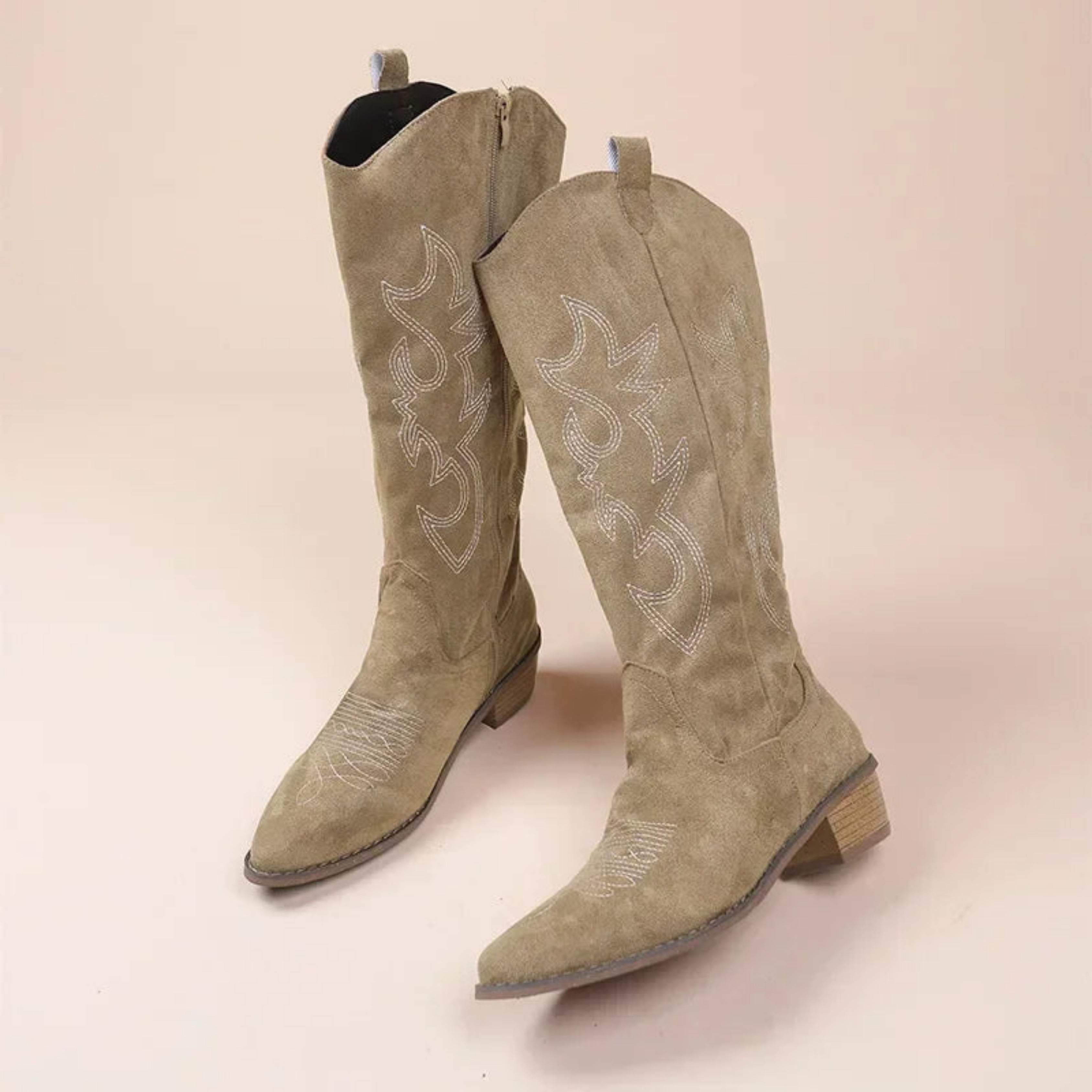 Embroidered women's cowboy boots with pointed toes and low heels