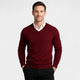Men's V-neck fine knit jumper with long sleeves and ribbed trims