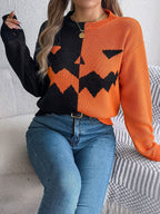 Women's graphic knit sweater with crew neckline and ribbed trims