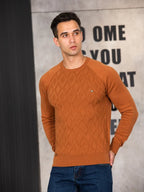 Men's argyle knit crew neck sweater with long sleeves and ribbed trims