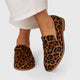 Women's brown leopard print loafers with round toes and low heels