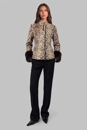 Leopard
