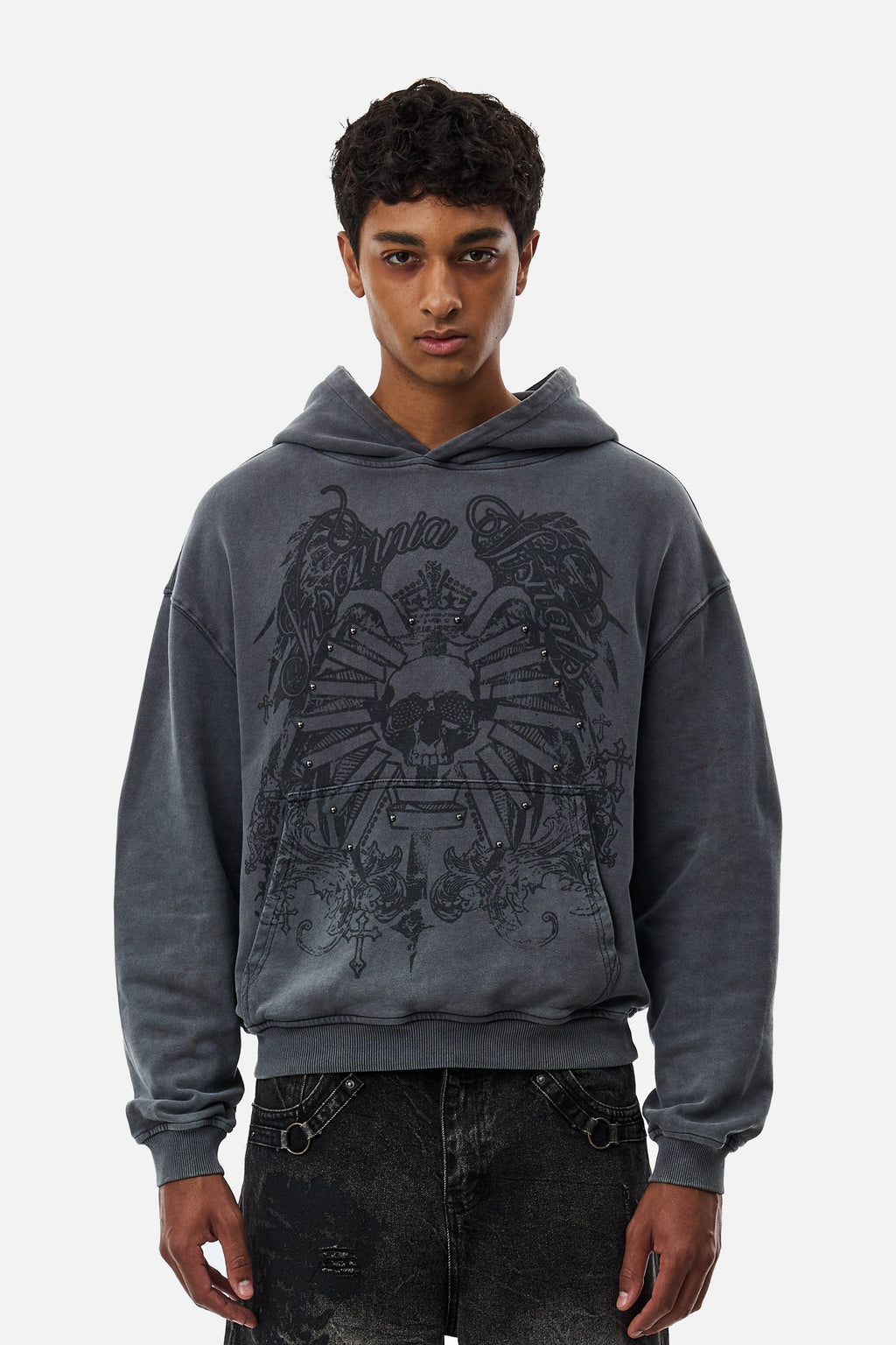 Men's grey graphic hoodie with hood and dark crest-inspired front print