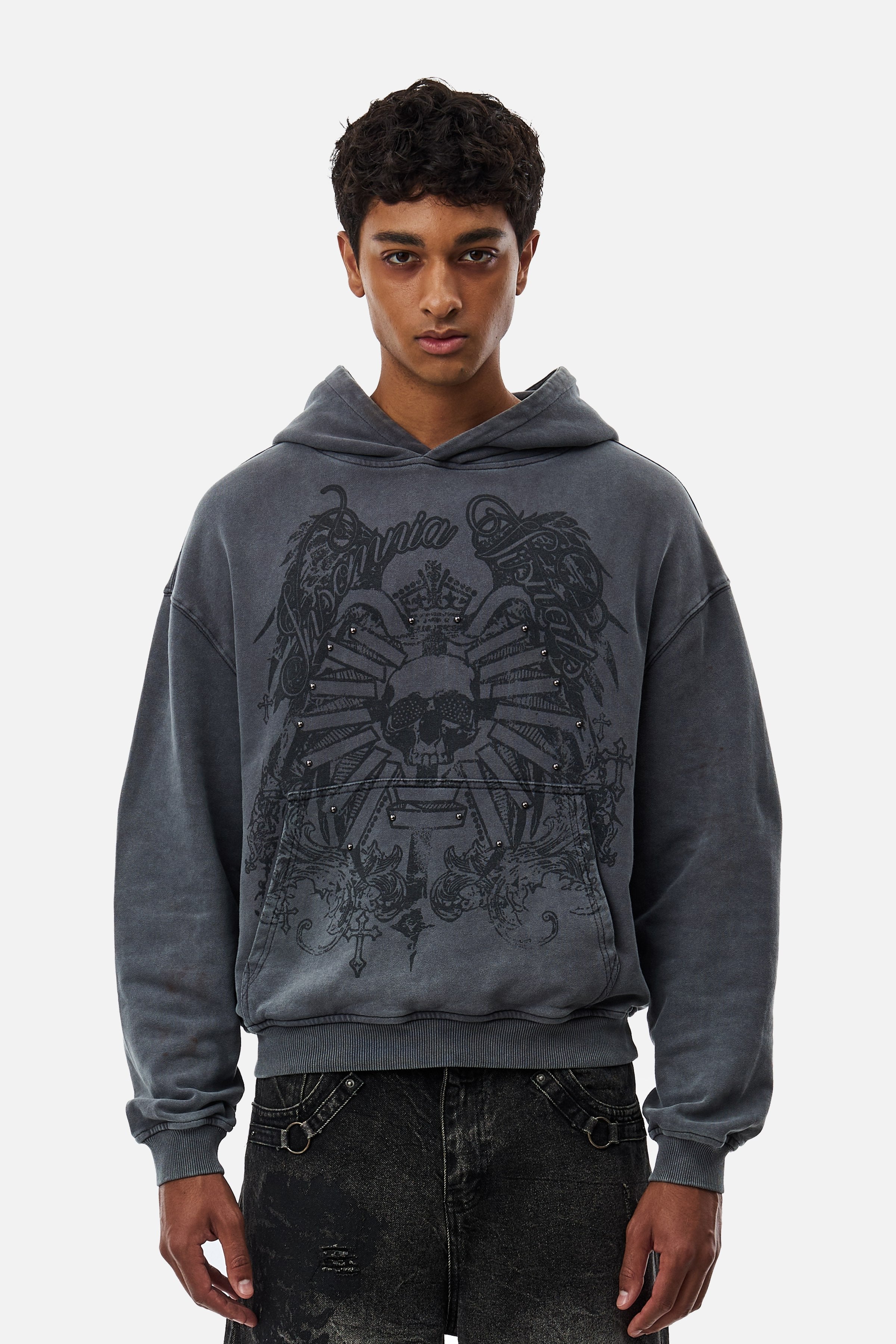 Men's grey graphic hoodie with hood and dark crest-inspired front print