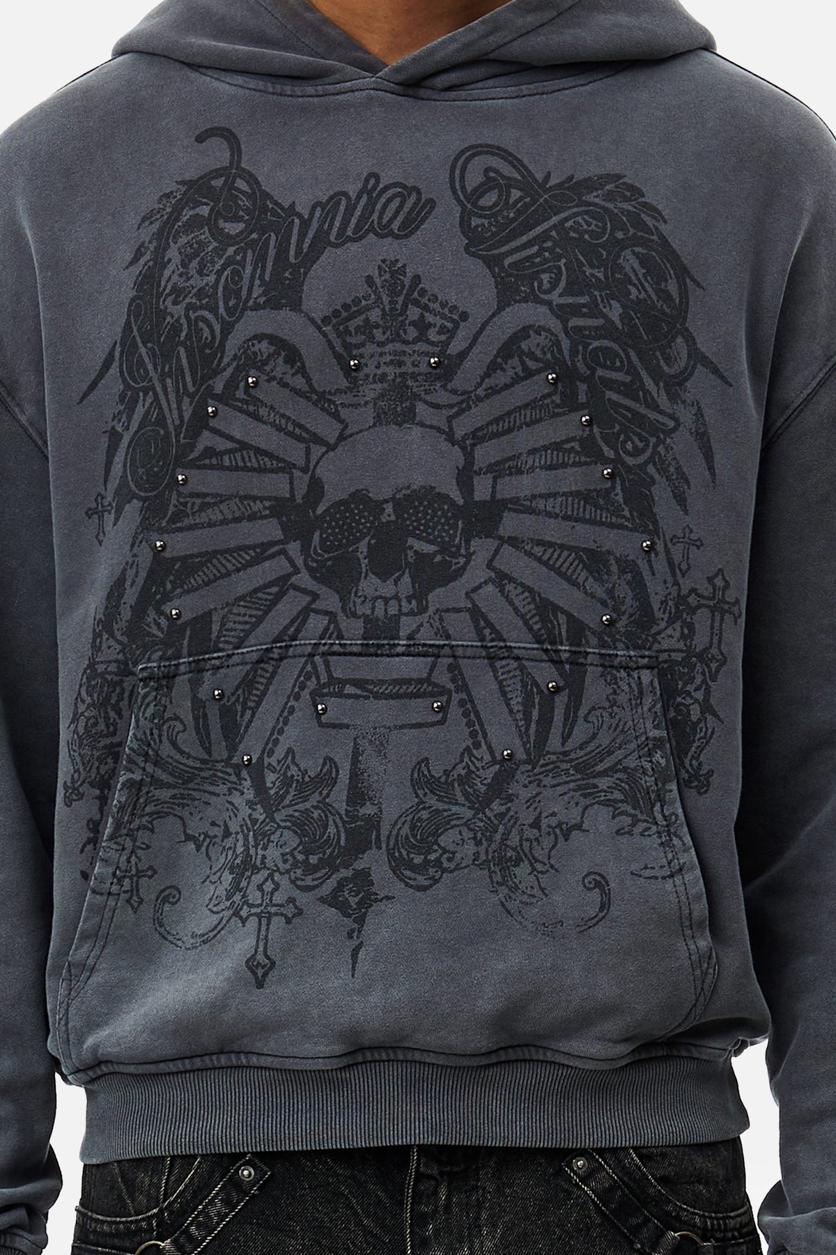 Men's grey graphic hoodie with hood and dark crest-inspired front print