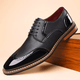Men's brogue dress shoe with pointed toe, lace-up front and perforated panels