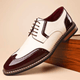 Men's brogue dress shoe with pointed toe, lace-up front and perforated panels
